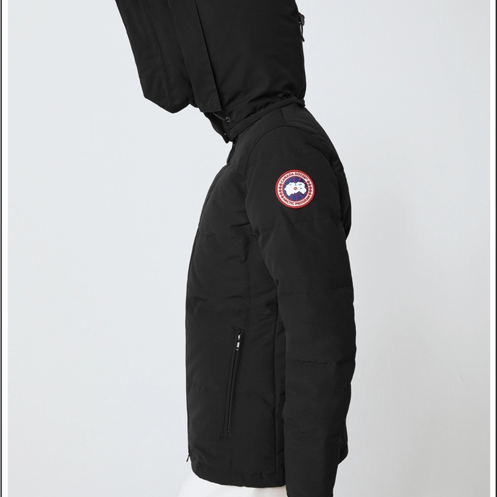 Black Canada Goose
